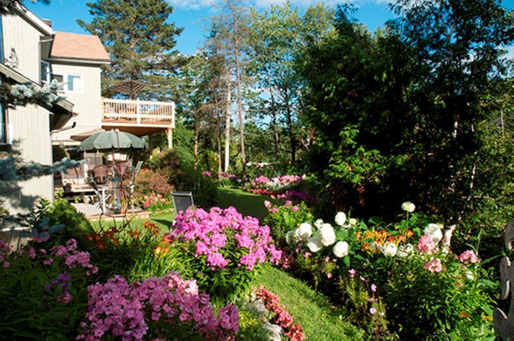 Gite Au Pied Du Courant De Gilbert Desjardins Mont-Laurier Esterno foto